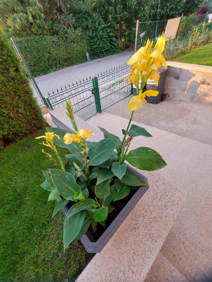 Privatzimmer Roland Hutten Экстерьер фото